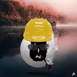 50958973752903565455854469215879591632770460990683765510966560429118012260353