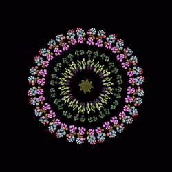 Artificial Chemistry #15