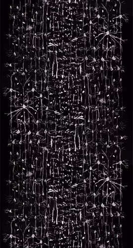 87855534987201374925371944818297600221317149567981150322417554447306302947329