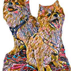 Happy Poms' mother and son
