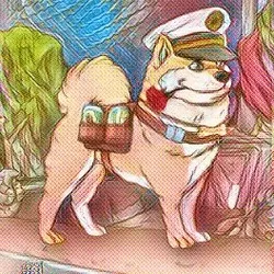 Picasso bored ape kennel 5006 4257 1047 