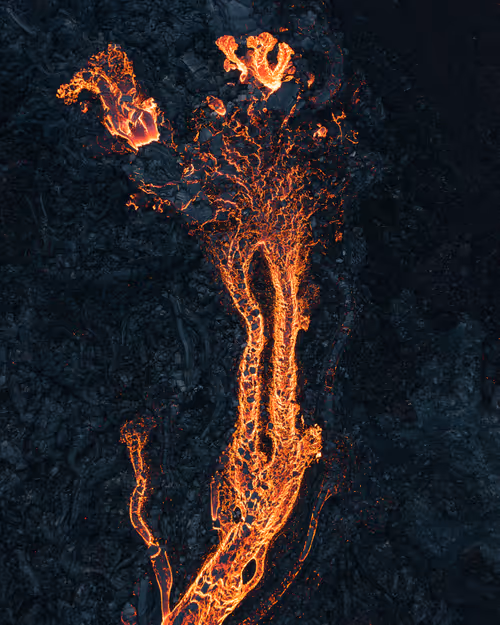 Item #59969087872528247593562305556961493003860374277083575615722774342235047591937 Media