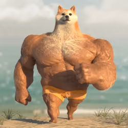 Doge#23