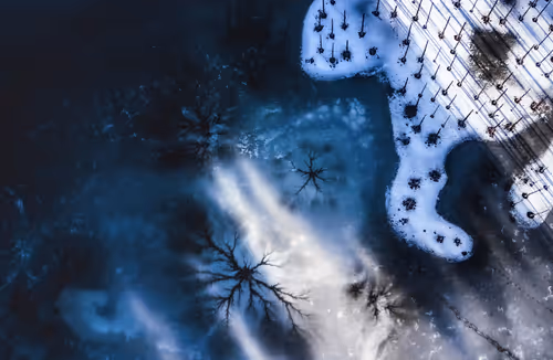 Item #44597214207808434690728600590910675747721082411314355056024202368190433460225 Media