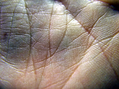 Item #53293308890184797563245186567038910587897763149201304652829954798929649336321 Media