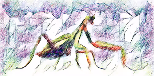 KaRa01 Collection - old