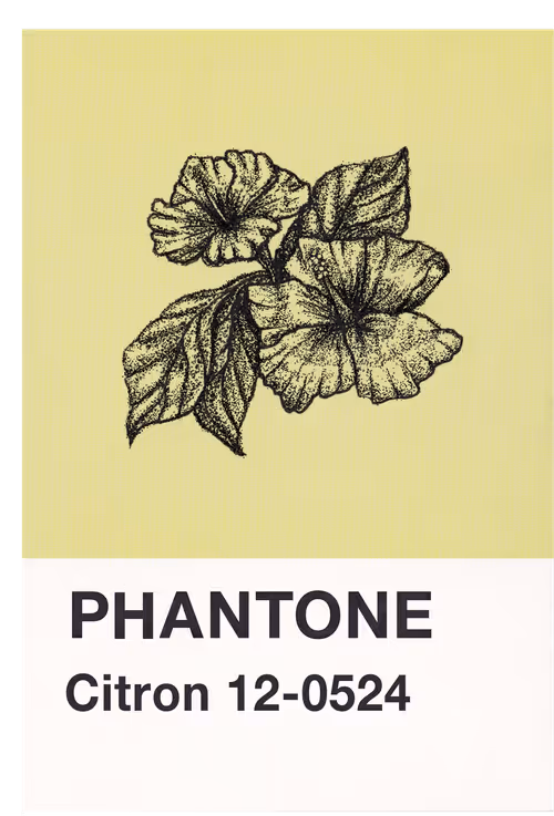 Item #23619072769629648887099014645842319039725167025197022934232545102429216047105 Media