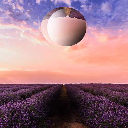 Item #19469739436640433849404204632279142070591541292945996516539209130736722378762 Media