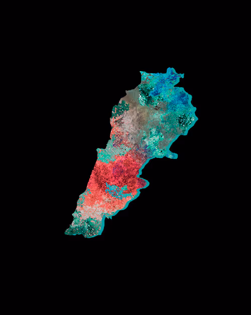 Item #81456042624357434202328939873654772461985486531984512622601373529580343656458 Media