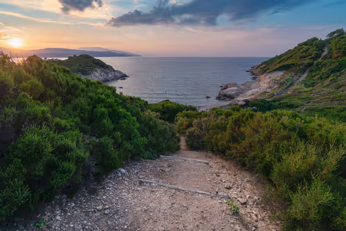 Item #31784539209812987338008238501801476985053436270199177464960010533444303978497 Media