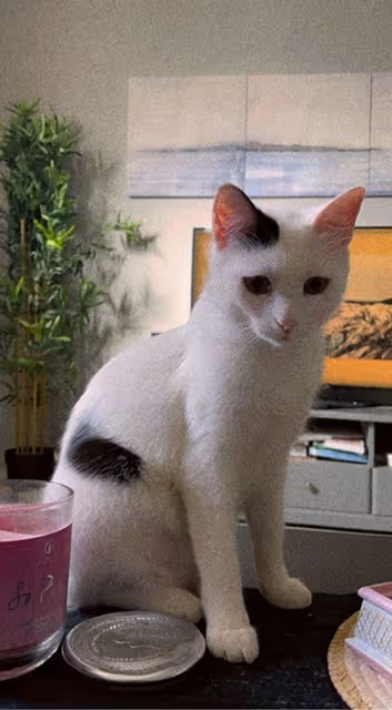 Item #51470682702665188024801801503850000452670987002674851525942653125957139824641 Media