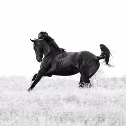 12333759371985289416686528618250941787801478820548931806244366480039135412225