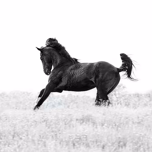 12333759371985289416686528618250941787801478820548931806244366480039135412225