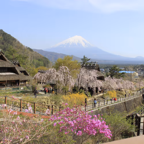 Sh4manK1ng Collection