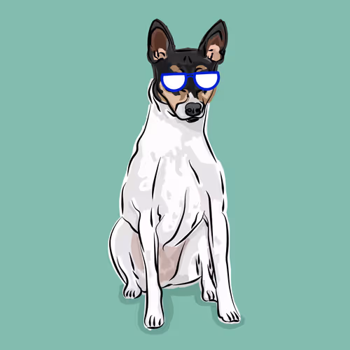 Item #76474225826514620480690138783239987552021970071941934033430511982870200844289 Media