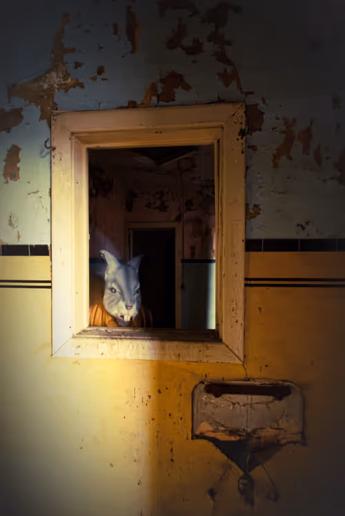 Item #96563138192293917757070198235194466088440109926107006004934391698094949400577 Media