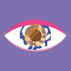 71416166653863509119767922235780018391532912343779032356617461873576618491905