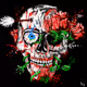 Skull Chronicles