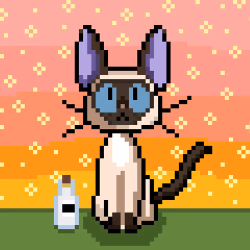 #64 Siamme Cat