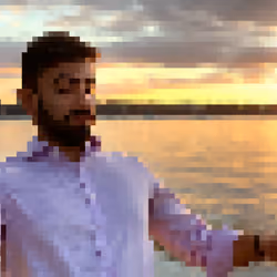 sunset swatting