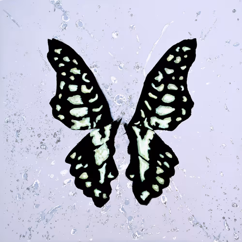 Item #31878015786887625449379653420806268900262982390960709769222713680579558113281 Media