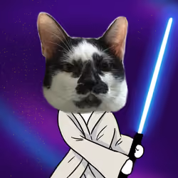 JayDai‏ cat