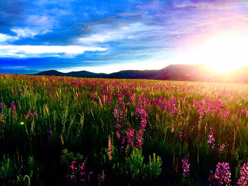 Item #3545434364027388159524564873243937151540135402704887169129841894555920629761 Media