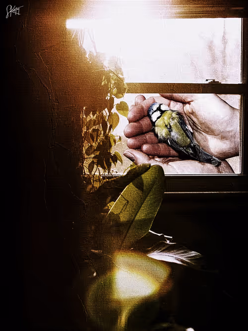 Item #94500202426587283003373425332027316729384686029729288065024406225908521762817 Media