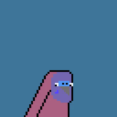 Budgie #216