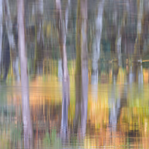 Ebb And Flow