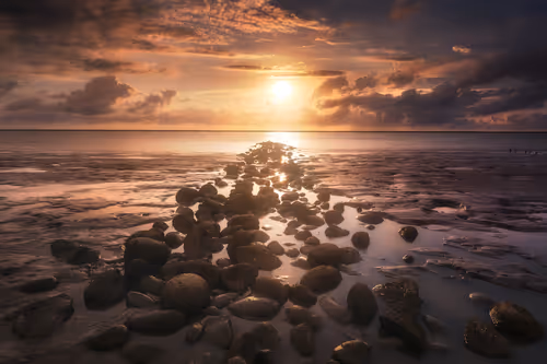 Item #94729080485503513708329965317332491879903775520225674536844109523694234107905 Media