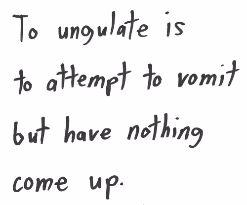 Item #56836866372284245272053052741954891273425498214946692072436553787320519622657 Media
