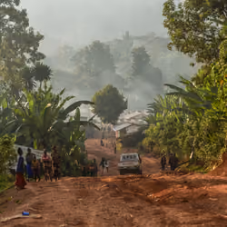Solar Coffee Project #45 - On The Way To Guji Coffee Plantation