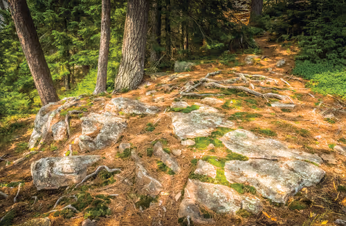 Item #78614967916850878758896281278088562819031429561597845143063367969522386468865 Media