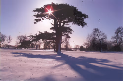 Item #106130176525195936994103089796487378382193046811569602832776154081402237747201 Media