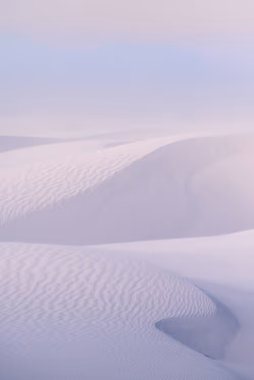 Item #39071023685345521589531013450918722216572370939070752972983331658619458420737 Media