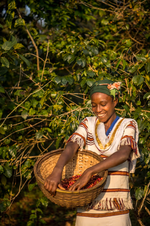 Item #50027882237522295676960542276708360859068113986169674979910833938291050414081 Media