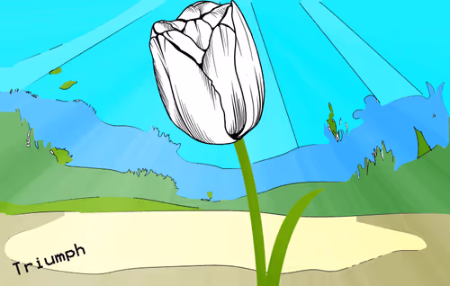 NFTulips