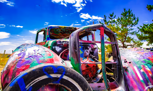 Lilwldchld Collection - old V2