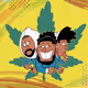 Cannamaniacs Collection