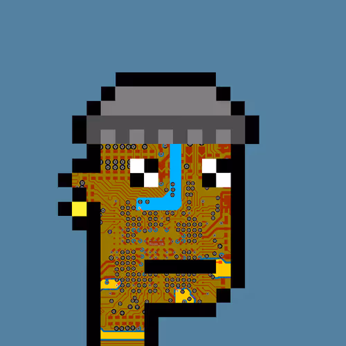 Punkcircuit
