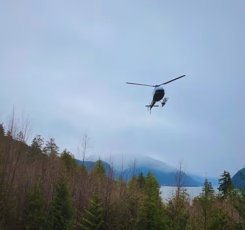 Item #18485528032262597472918495174298889113795988703892766399362971638706571575297 Media