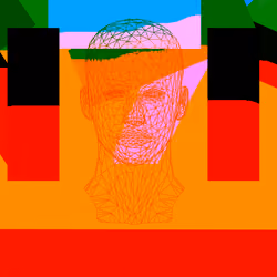 Chaos