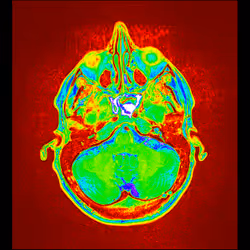 64162533542198579898252916190583583845604629893829087458582975925012901396481