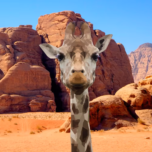 Desert Giraffe