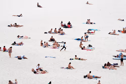 Item #113106517295801719263541253605561877557080643982296006819616818946498942205953 Media