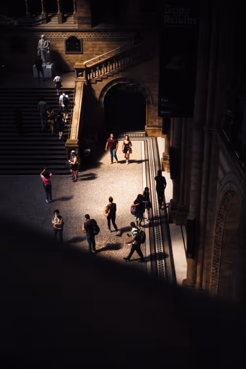 Item #67107135143472887362727960782198863694604649880733447117540637382448601104385 Media