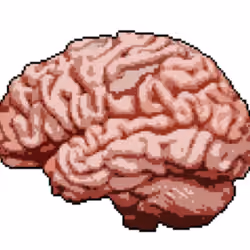 big brain connection #00002