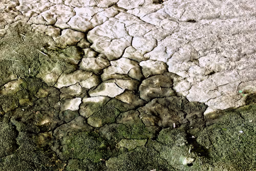 Item #106724480225674234207905183148312565268453477857390453009567810407938087976961 Media