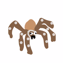 White Knee Tarantula